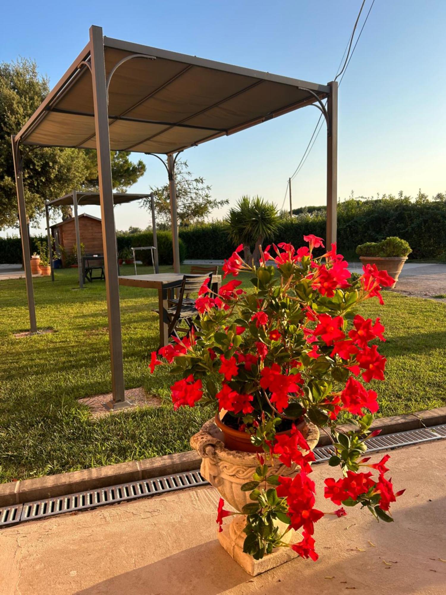 Agriturismo Da Michele E Carmela Di Voli Patrizia Donoratico Exterior foto